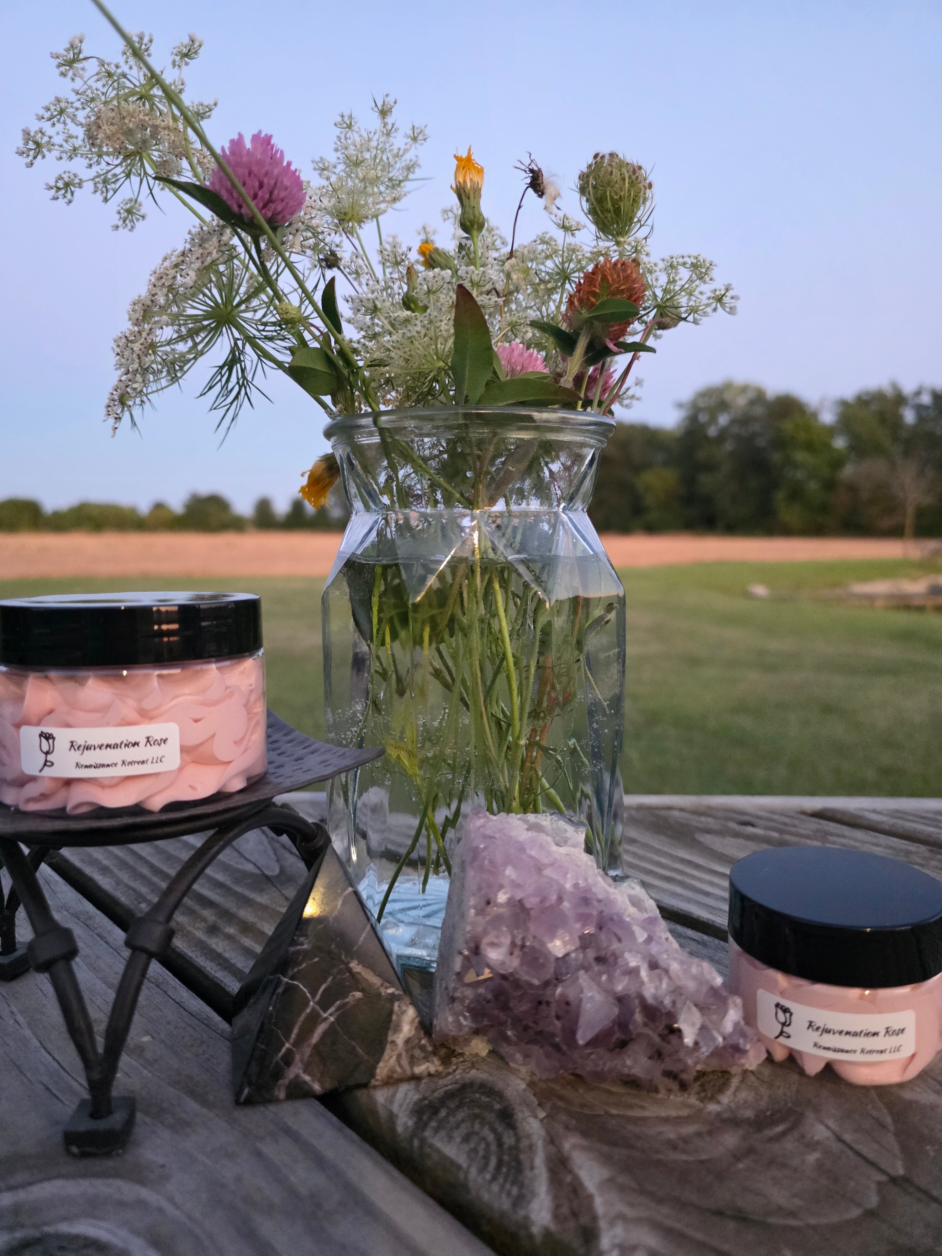 Rejuvenation Rose