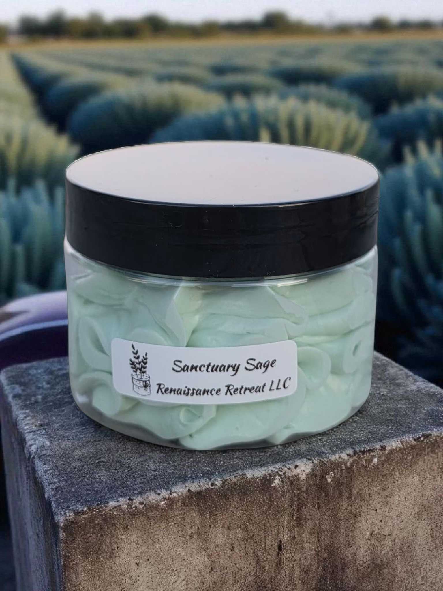 Sanctuary Sage